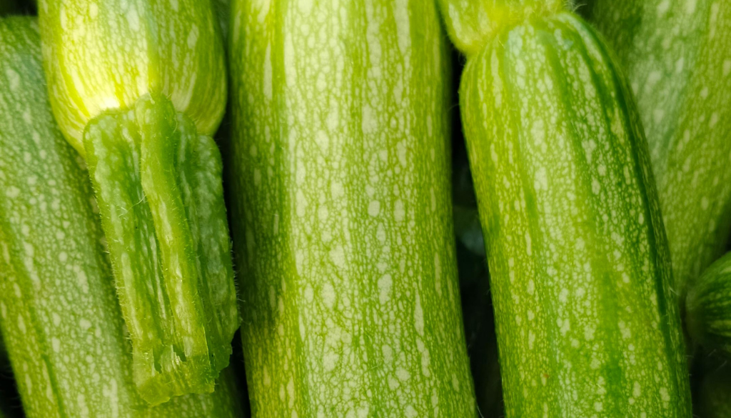 Courgettes Farcies au Four